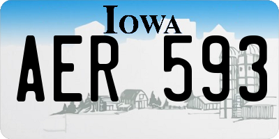 IA license plate AER593