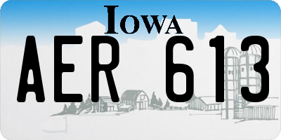 IA license plate AER613