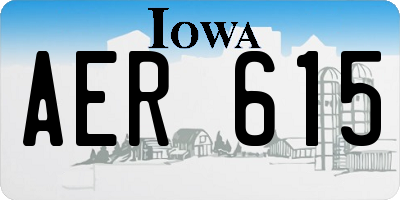 IA license plate AER615