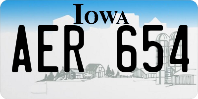 IA license plate AER654