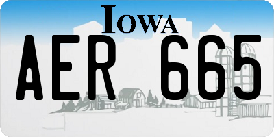 IA license plate AER665