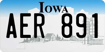 IA license plate AER891