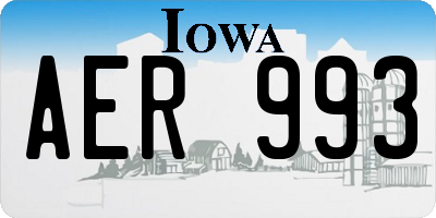 IA license plate AER993