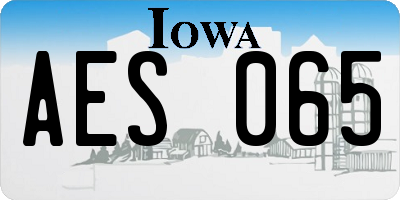 IA license plate AES065