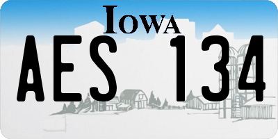 IA license plate AES134