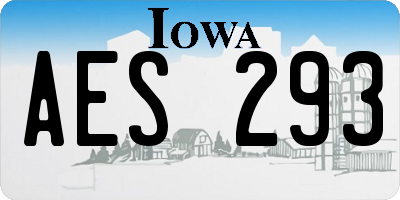 IA license plate AES293