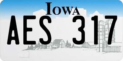 IA license plate AES317