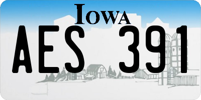 IA license plate AES391