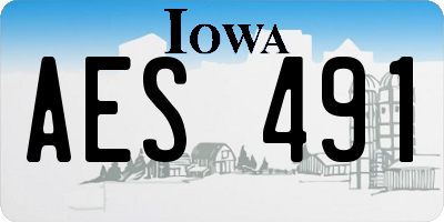 IA license plate AES491