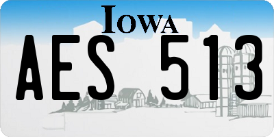 IA license plate AES513