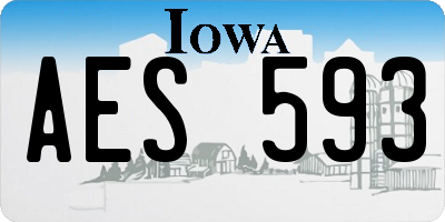 IA license plate AES593