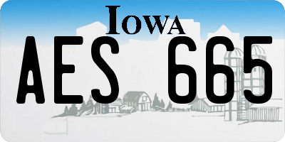 IA license plate AES665