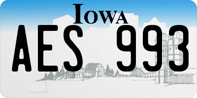 IA license plate AES993