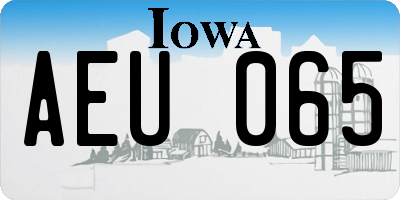 IA license plate AEU065
