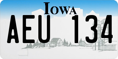 IA license plate AEU134