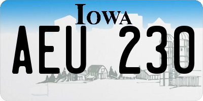 IA license plate AEU230