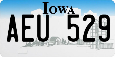 IA license plate AEU529