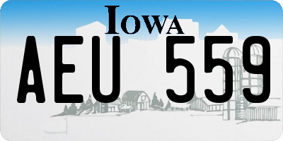 IA license plate AEU559