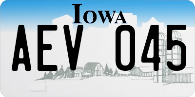 IA license plate AEV045