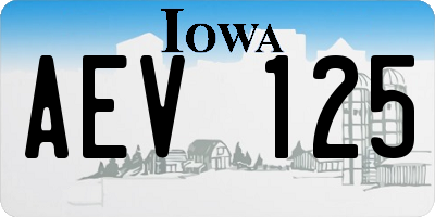 IA license plate AEV125