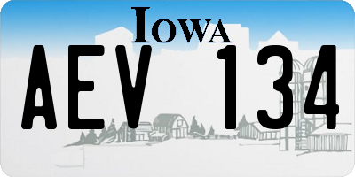 IA license plate AEV134