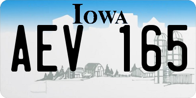 IA license plate AEV165