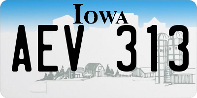IA license plate AEV313