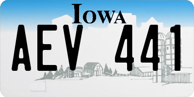 IA license plate AEV441