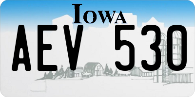 IA license plate AEV530