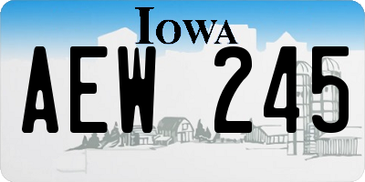 IA license plate AEW245