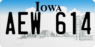 IA license plate AEW614