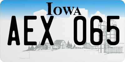 IA license plate AEX065