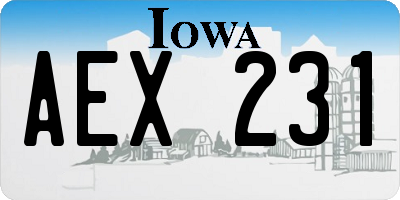 IA license plate AEX231