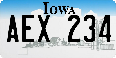 IA license plate AEX234