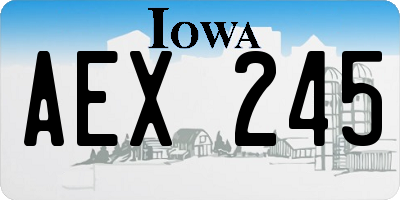 IA license plate AEX245