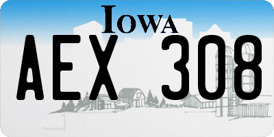 IA license plate AEX308