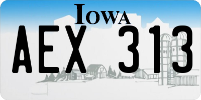 IA license plate AEX313