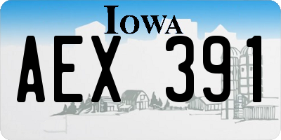 IA license plate AEX391