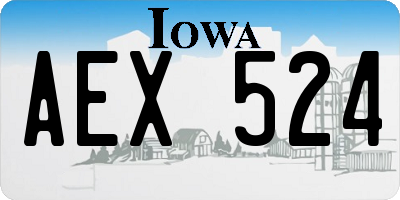 IA license plate AEX524