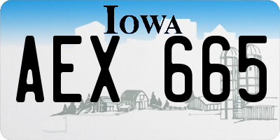 IA license plate AEX665