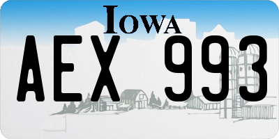 IA license plate AEX993