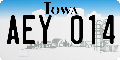 IA license plate AEY014