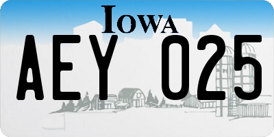 IA license plate AEY025