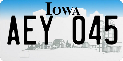IA license plate AEY045