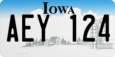 IA license plate AEY124