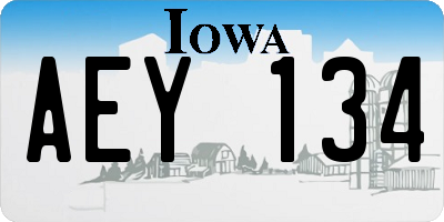 IA license plate AEY134