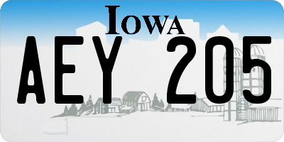 IA license plate AEY205
