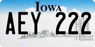 IA license plate AEY222