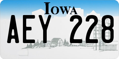 IA license plate AEY228