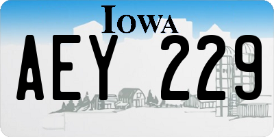 IA license plate AEY229